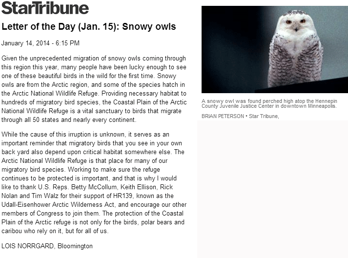 snowyowlLTE1