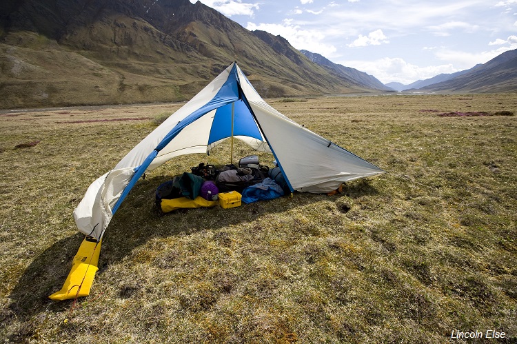 Patagonia Lincoln Else grasslands tent