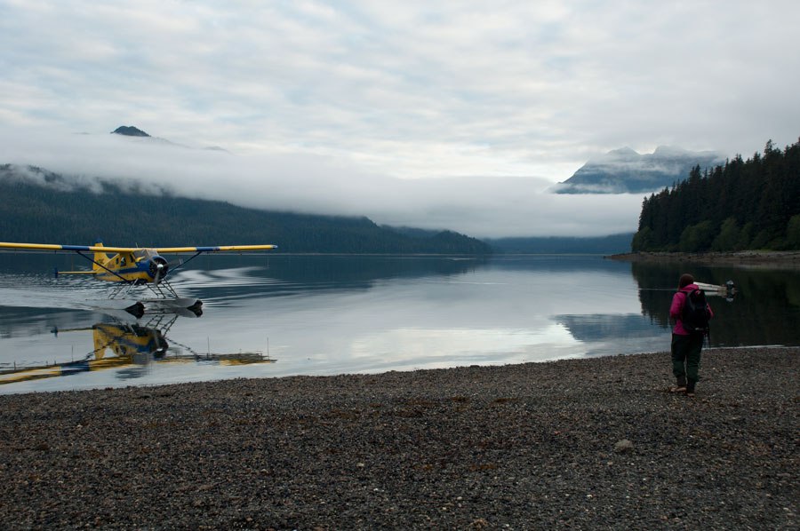 bear-watching-alaska-6