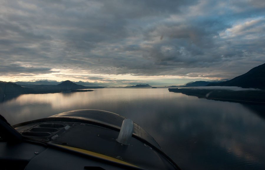 bear-watching-alaska-8
